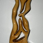 5º Trofeo KAUKLI - 2011