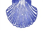 P - Pedrón de Ouro-MINI e MERO